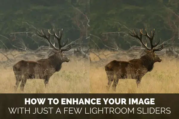 Use These Few Lightroom Sliders To Make Your Image Pop
